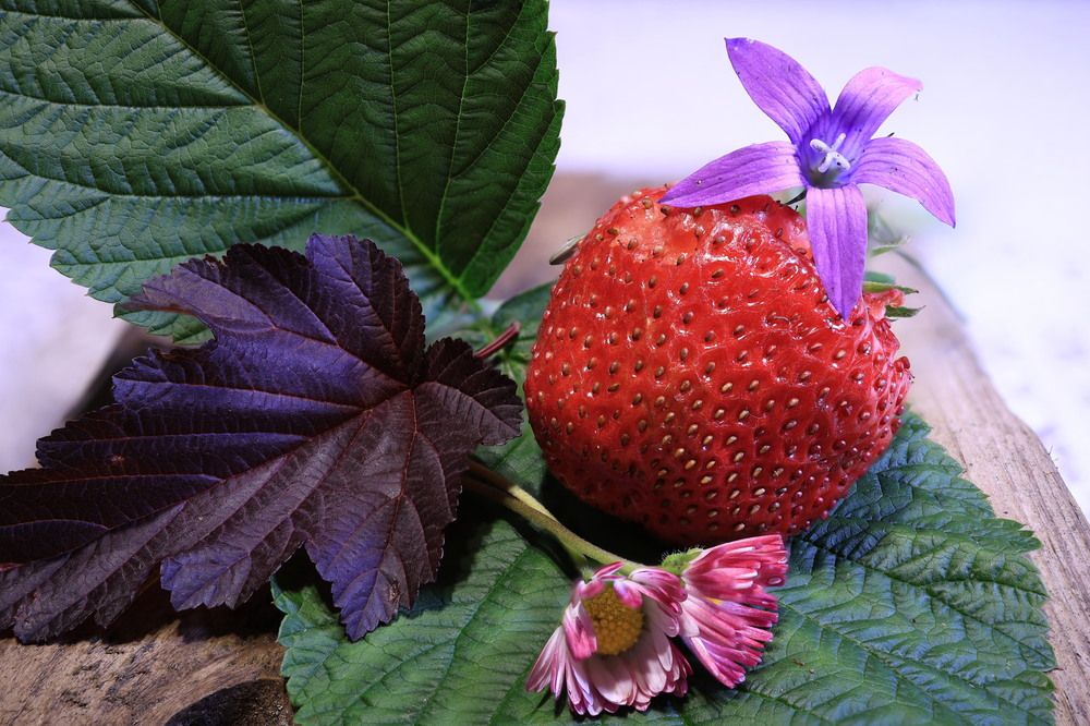 Фотография автора баглык вячеслав