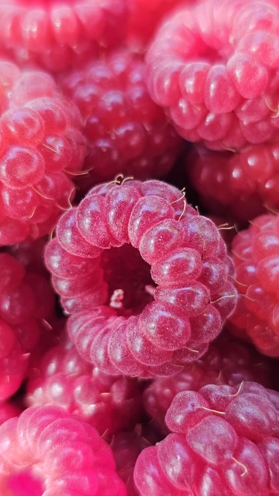 Photograph by Вадим Богатиков