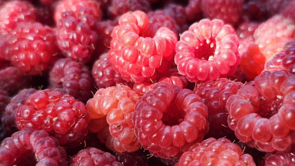 Photograph by Вадим Богатиков