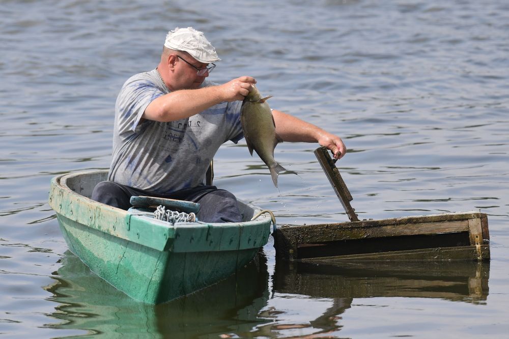 Photograph by Николай Абакумов