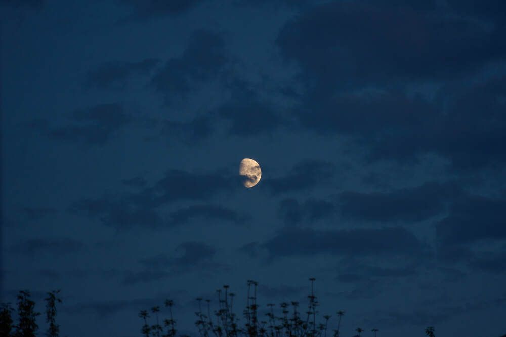 Фотография автора Dana Korolkova