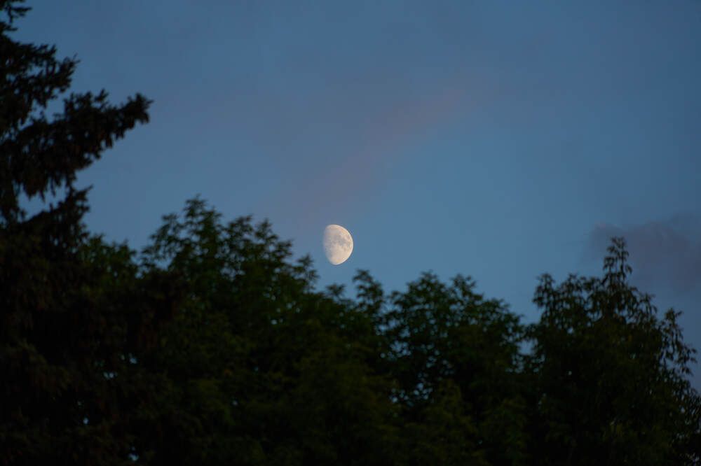 Фотография автора Dana Korolkova