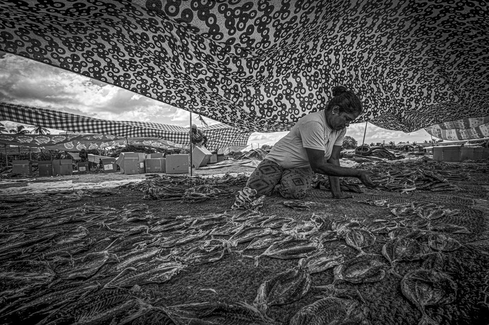 Photograph by Oshadha Priyankara