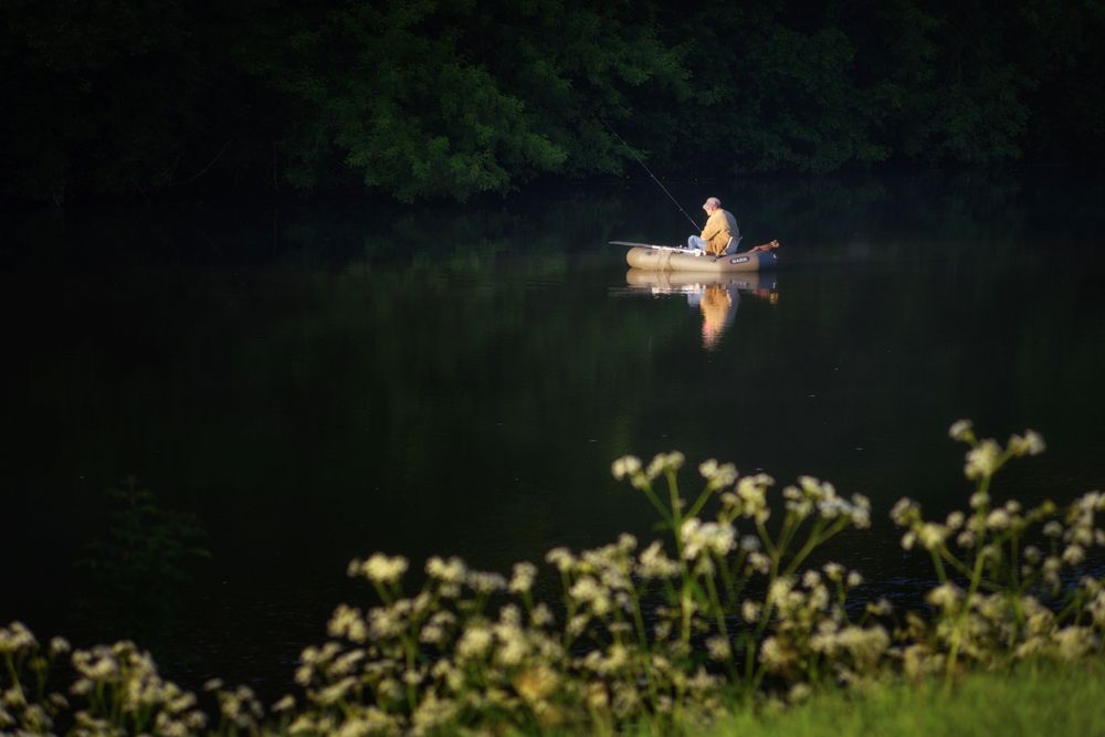 Фотография автора Гордиенко Анатолий