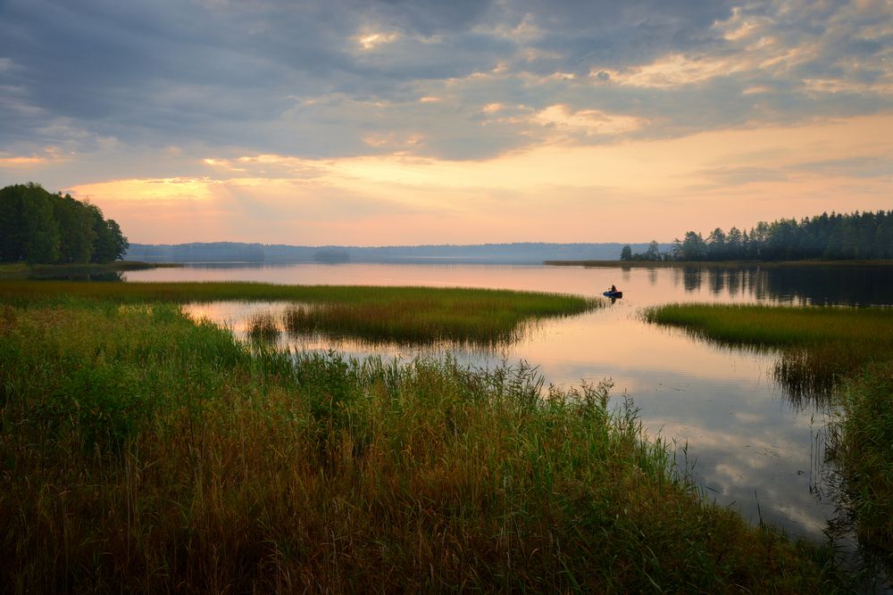 Фотография автора Гордиенко Анатолий