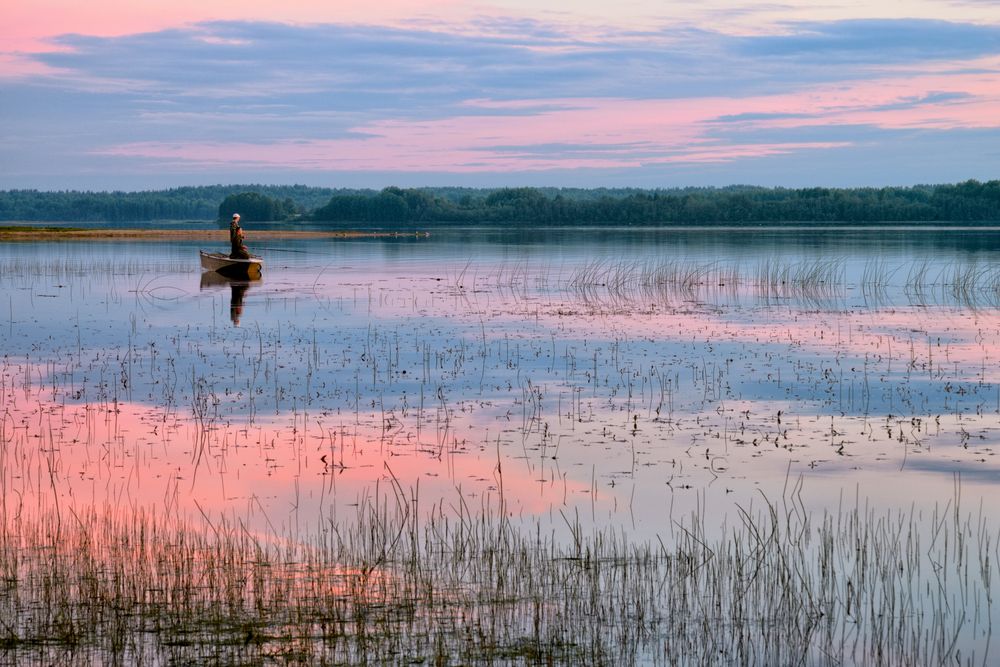 Фотография автора Гордиенко Анатолий