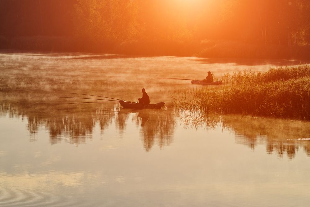 Photograph by Гордиенко Анатолий