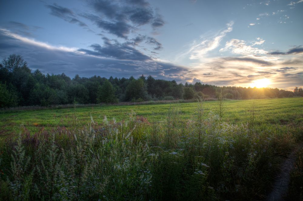 Фотография автора Юлия Кранина
