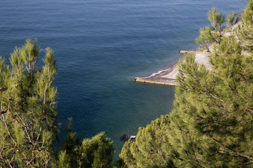 Photograph by Светлана Карнаух