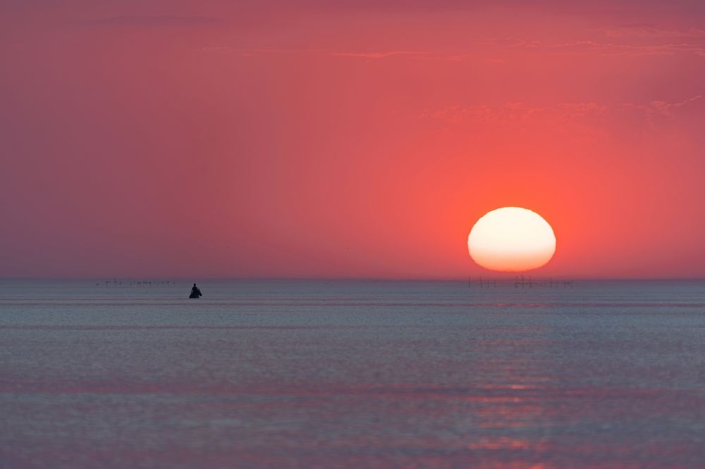 Photograph by Михаил Косолапов