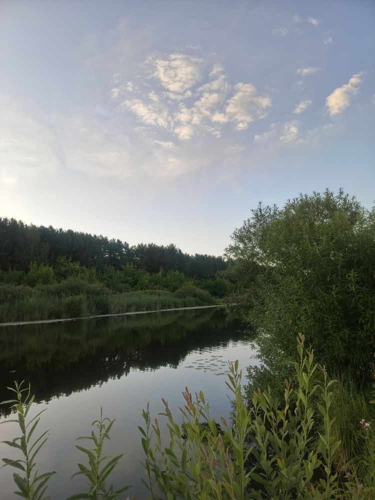 Фотография автора Ольга Петрова