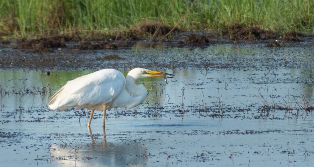 Photograph by Олег Волков