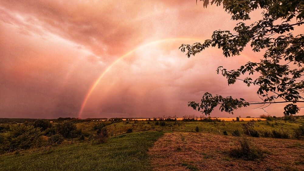 Photograph by Любовь Колмакова