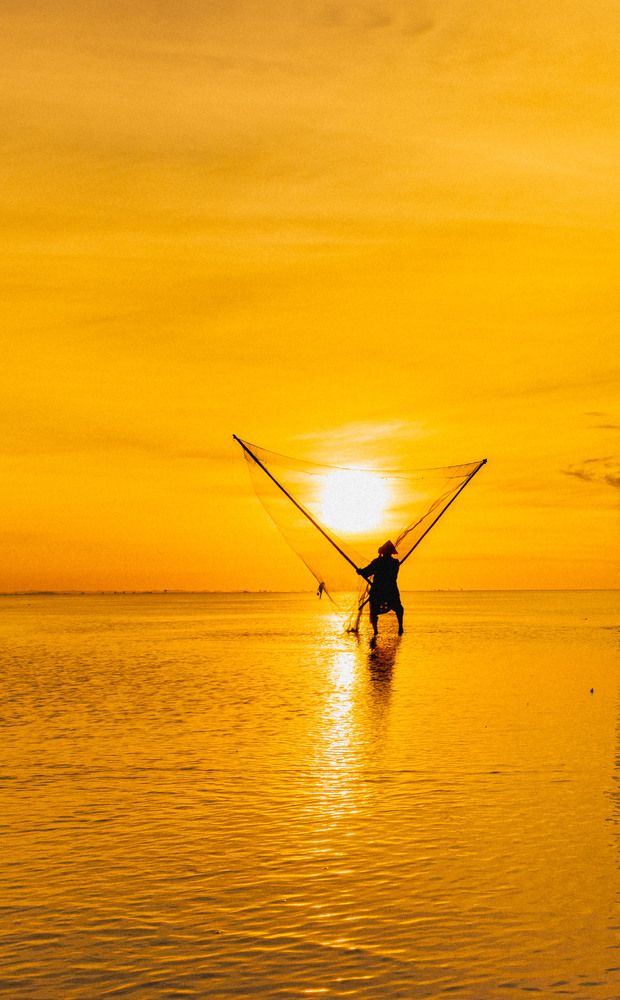 Фотография автора QUAN NGUYEN HUNG