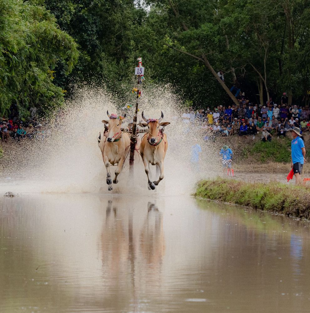 Фотография автора QUAN NGUYEN HUNG
