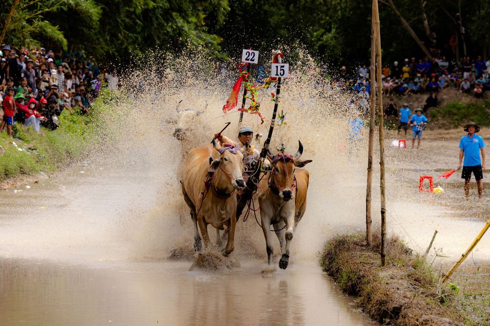 Фотография автора QUAN NGUYEN HUNG