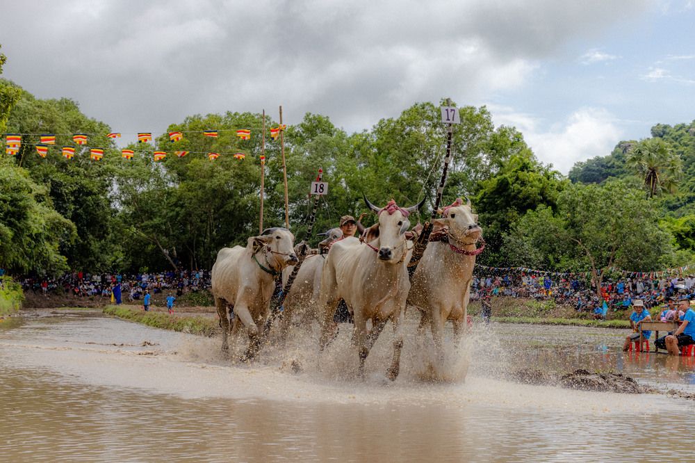 Фотография автора QUAN NGUYEN HUNG