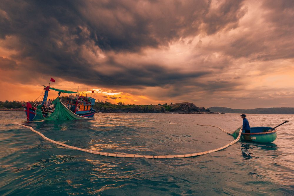 Photograph by Andy Nguyen