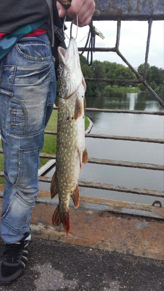 Photograph by Ия Дирко