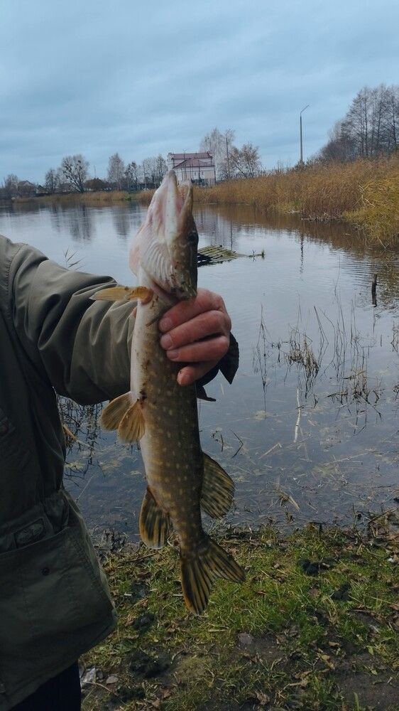 Photograph by Ия Дирко