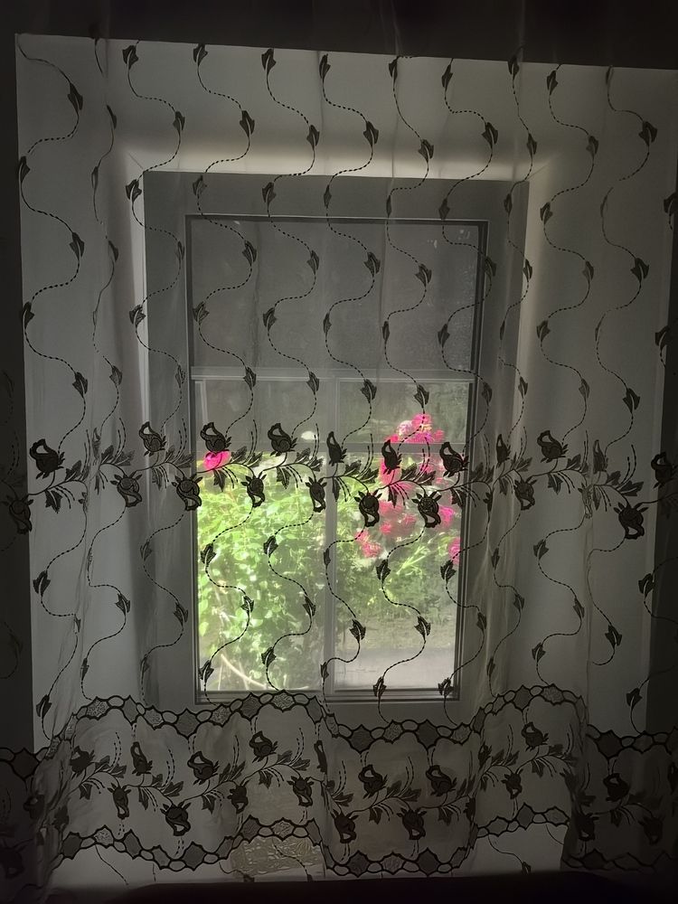 Фотография автора Иван Кириллов