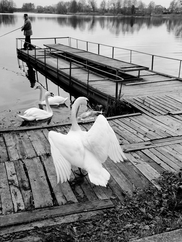 Photograph by Ия Дирко