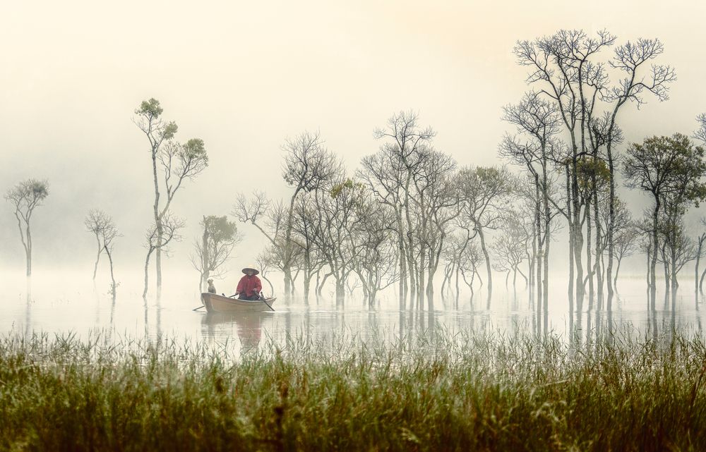 Photograph by Dinh Phong