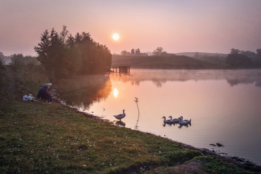 Photograph by Светлана Урманцева