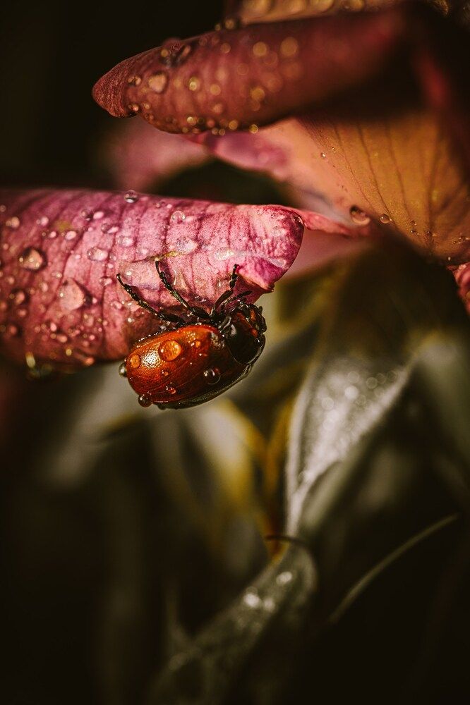 Photograph by Сергей Белокуров