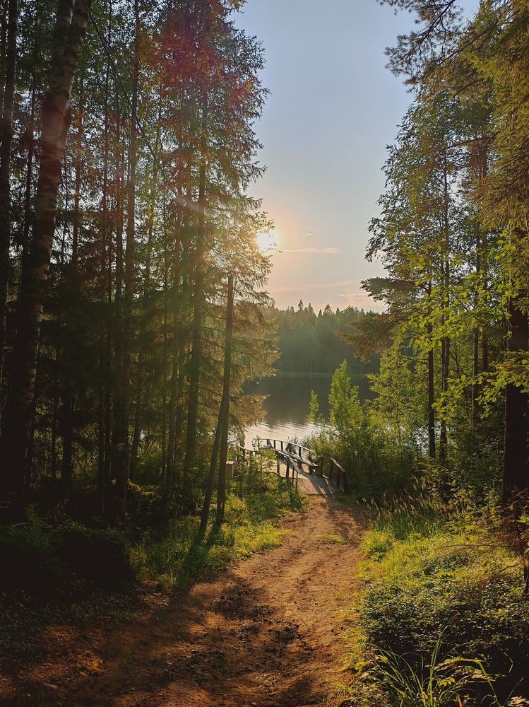 Photograph by Елена Кузьмичева