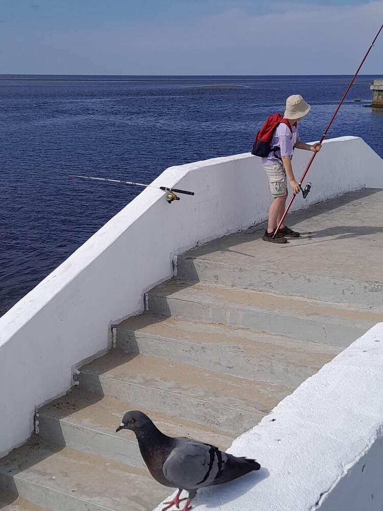 Photograph by Виталий Глазачев