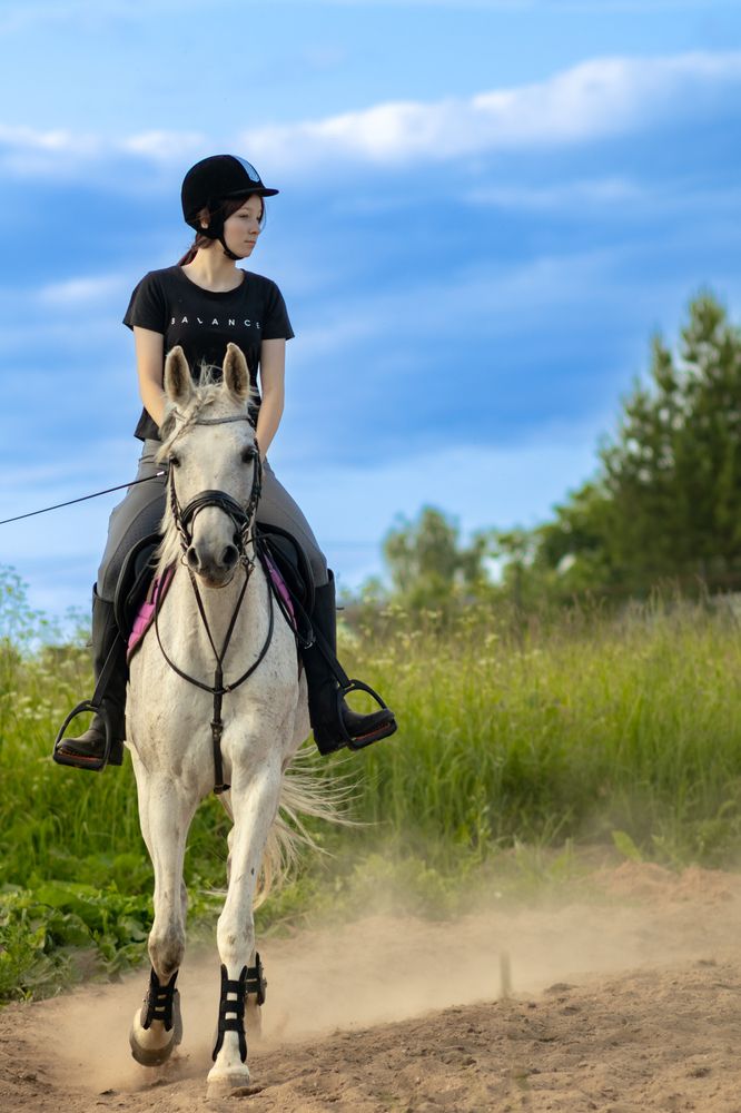 Фотография автора Aamoda Kitchen