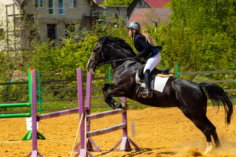 Фотография автора Aamoda Kitchen