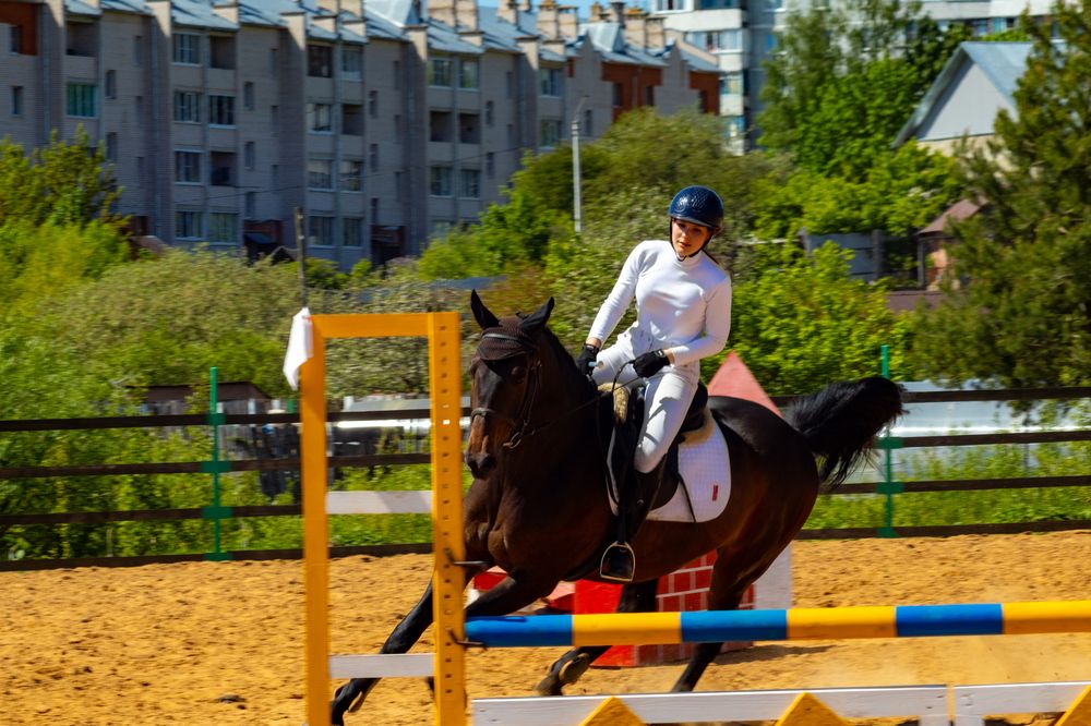 Фотография автора Aamoda Kitchen