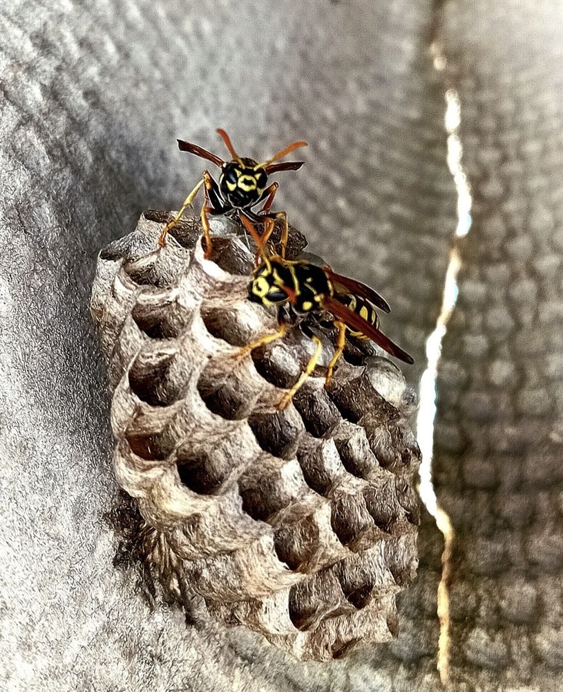 Фотография автора Eleni Christogianni