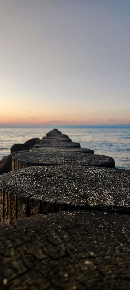 Photograph by Анастасия Большакова