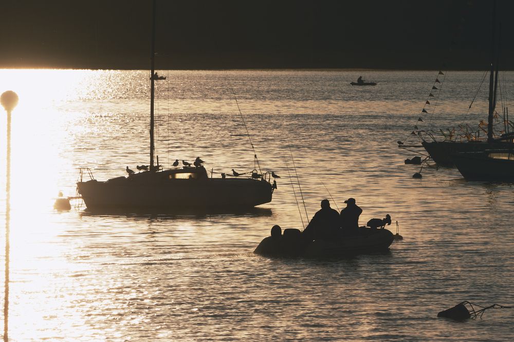 Photograph by Андрей Серый