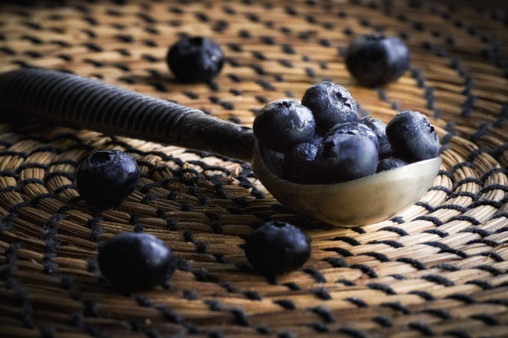 Photograph by Anya Lo