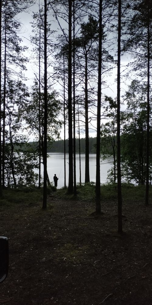 Photograph by Ольга Мольдон