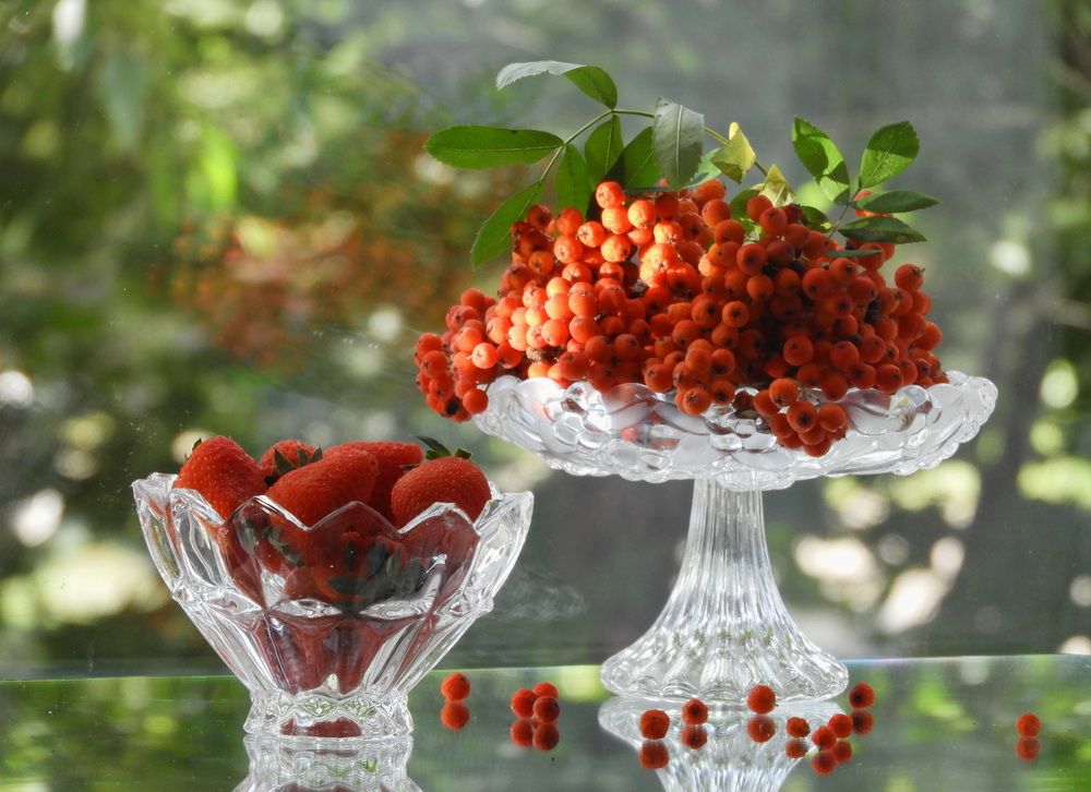 Photograph by Galina Gorshkova