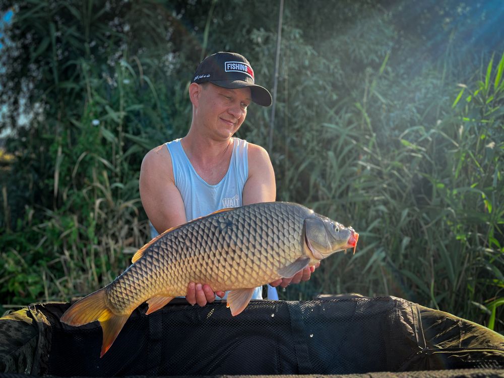 Фотография автора Вячеслав Александров