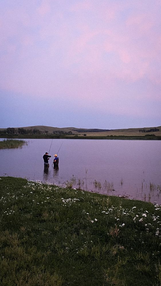 Photograph by Dina Din