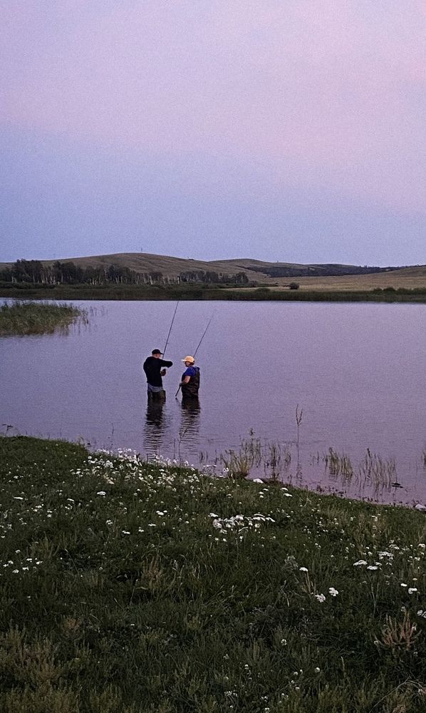 Photograph by Dina Din