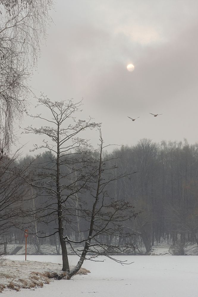 Photograph by Михаил Мак