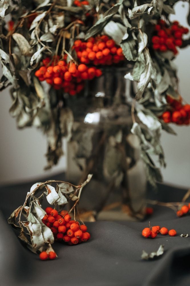 Photograph by Бальзирова Наталья