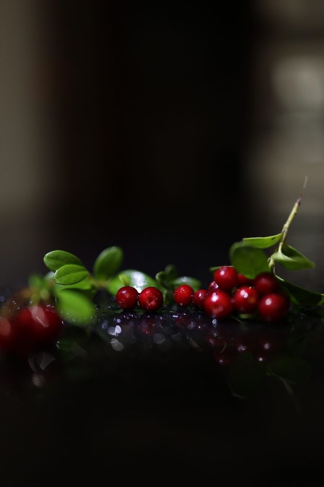 Photograph by Бальзирова Наталья