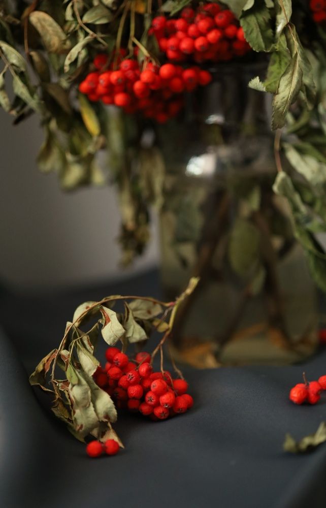 Photograph by Бальзирова Наталья