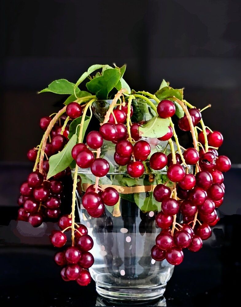 Photograph by Людмила Локтионова