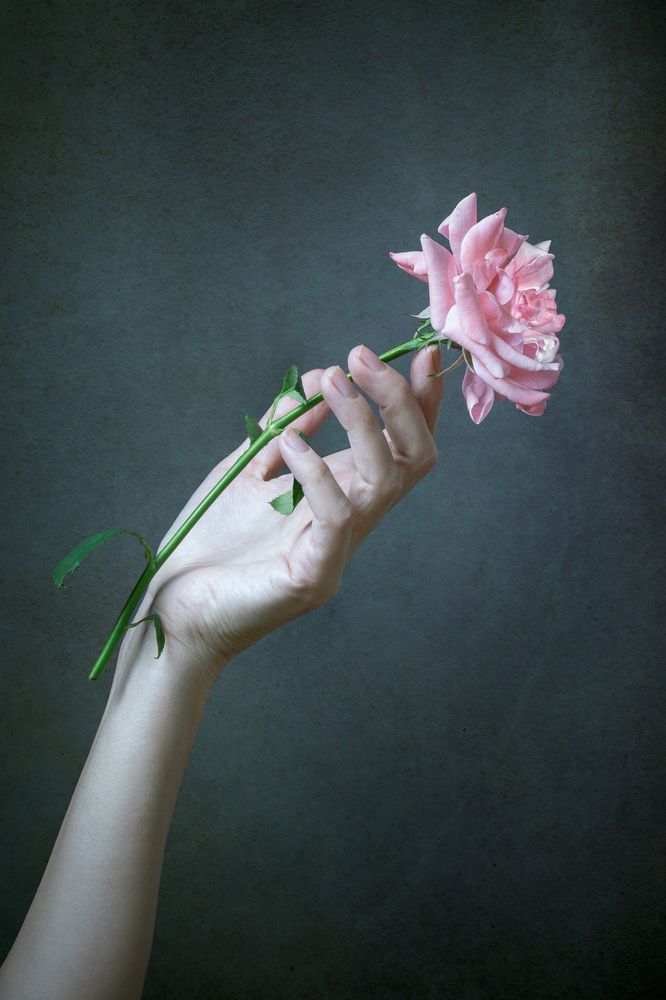 Фотография автора Anna Ilieva-Alikaj