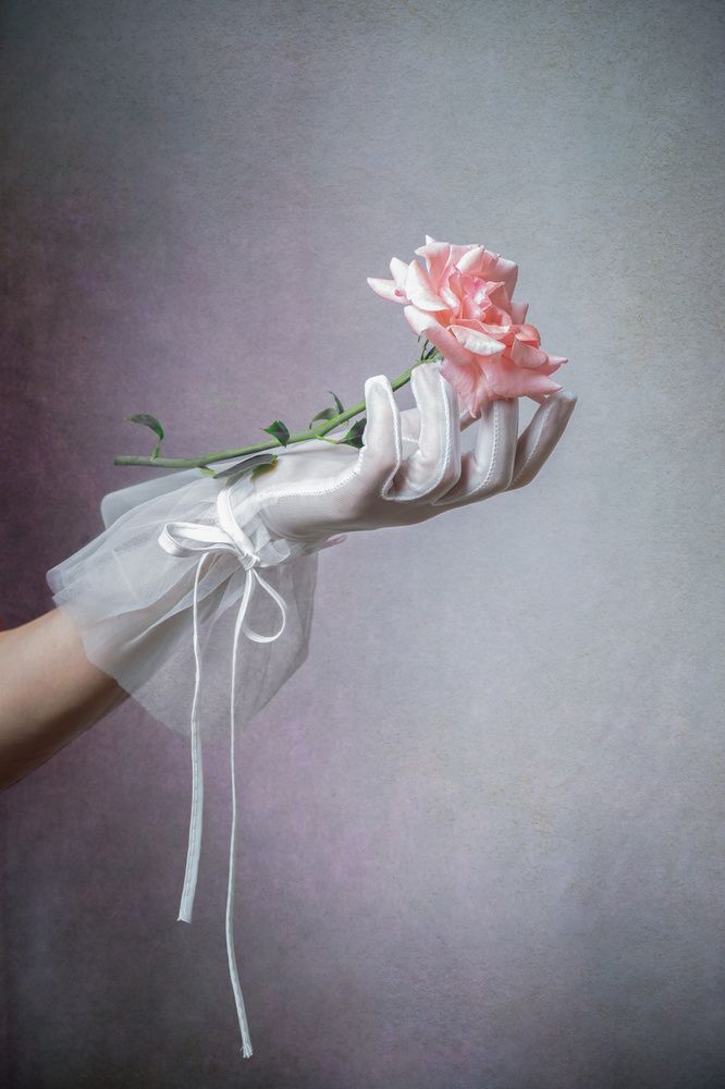 Фотография автора Anna Ilieva-Alikaj